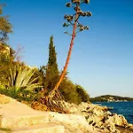 Punta Lejlighed