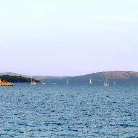 Punta